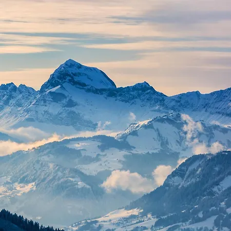 Stella Palais Garage * Megève