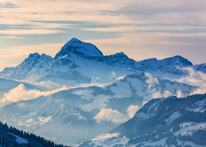 Stella Palais Garage * Megève